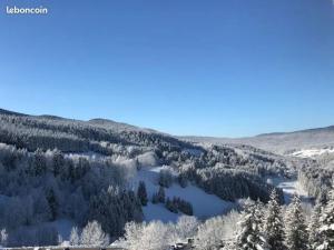 2 pièces rénové 36 m² - sud avec vue montagne
