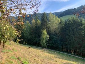 Black Pearl - Blockhaus inmitten der Natur