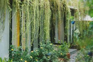 Bến Đò Xưa Homestay & Coffee