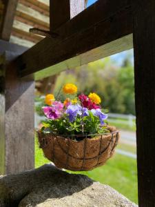 Appartements Les gites Romeline : photos des chambres