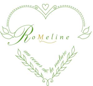 Appartements Les gites Romeline : photos des chambres