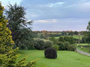 Appartements Les gites Romeline : photos des chambres