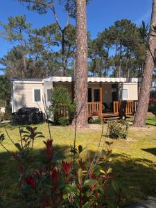 Les dunes de Contis Chez Edith océan pins et détente assurée dans camping 4 étoiles
