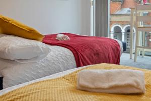 Heart of City Centre Luxury Apartment with Secure Underground Parking