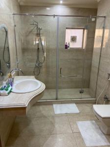 a 3 bedroom apartment with lovely Nile view