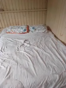 Sintaseemcasa - 伊格雷日尼亚