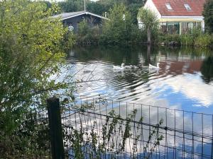 chaletje tis-ier-goed