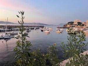 Beau Studio à 100m des plages