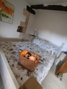 Gite Le petit moineau