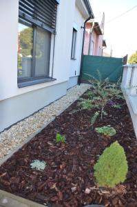 Bývanie pri parku, Lučenec