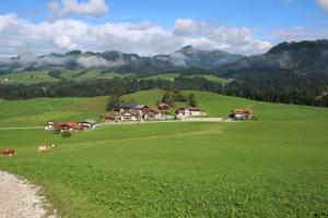 Appartement Apartment Duregger Ebbs Österreich