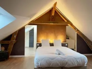 La Molinière, belle demeure avec séjour cathédrale - La Molinière, beautiful residence with cathedral living room - Sambin