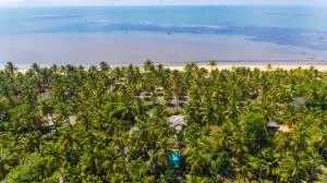 Vila das flores - Belmonte