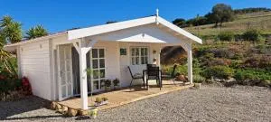 Finca Feliz Andaluz - 皮萨拉