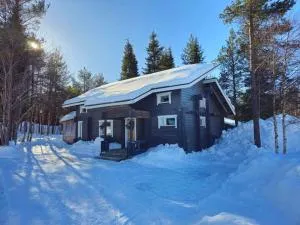 Villa Naava - 锡尔卡