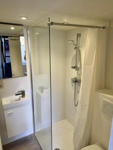 Studio avec chambre en mezzanine