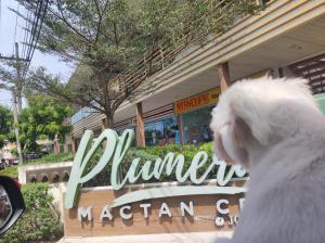 Haus of Emerald Studio Condo - Plumera by Kevin