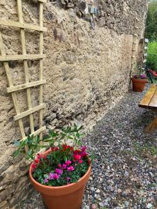 Maisons de vacances Clos de Gigondas Countryside house 10 mins from CHU and Limoges center : photos des chambres