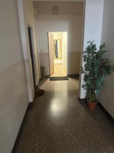 Concerti, Stadio e Aeroporto Bologna