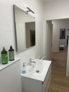 Concerti, Stadio e Aeroporto Bologna