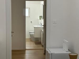 Concerti, Stadio e Aeroporto Bologna