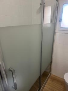 Concerti, Stadio e Aeroporto Bologna