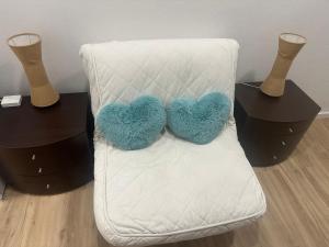 Concerti, Stadio e Aeroporto Bologna