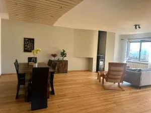 Luxury apartment Lugano - Dino