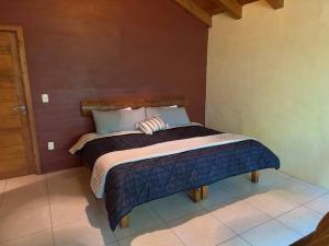 Cabaña La Esmeralda #7 Mazamitla