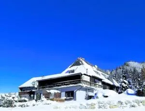 Draxlerhaus - تريبن