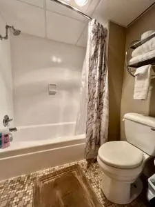 Lindell Motor Lodge - Downtown Cedar Falls Studio With Free Gated Parking! - 锡达拉皮兹