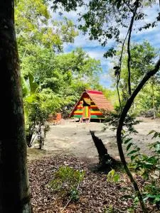 Land of Promise - Paramaribo