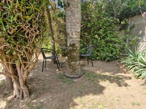 Grace Avenue Townhouse & Studio