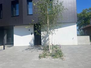 Appartement calme et moderne