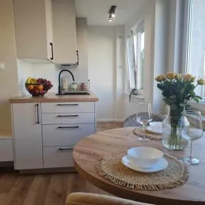 Apartament pod lasem - 科杰尼采
