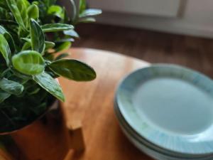 Wonderful Stay With Nature & Fun