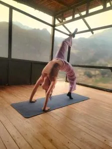 Wolf Totem Lux Backpacker Studio Loft - 皮萨克