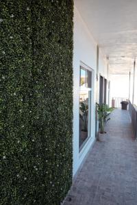 Hotel La Quinta Bonita