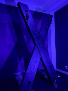 Appartements Love room or et rouge : photos des chambres