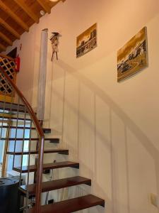 Casa do Arco da Velha