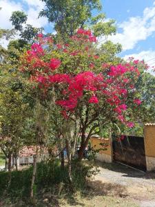 Casa Llanitos de Tabay de Mérida