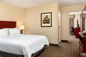 Holiday Inn Express Edmonton North by IHG