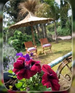 CASADELGOLF Villa Gesell