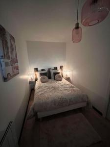 Appartements Atelier du spa jacuzzi illimite proche du mont saint Michel : photos des chambres
