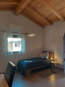 Nice holiday houses with Mediterranean garden