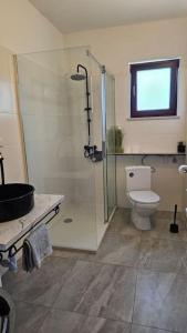 Nice holiday houses with Mediterranean garden