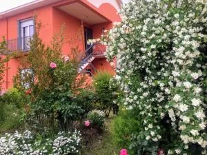 Villa oleandro - Borgo Vercelli