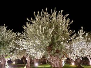 Villas Saint Veran : photos des chambres