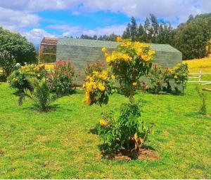Cabañas Altos del Dorado