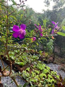 Nắng Xinh Homestay